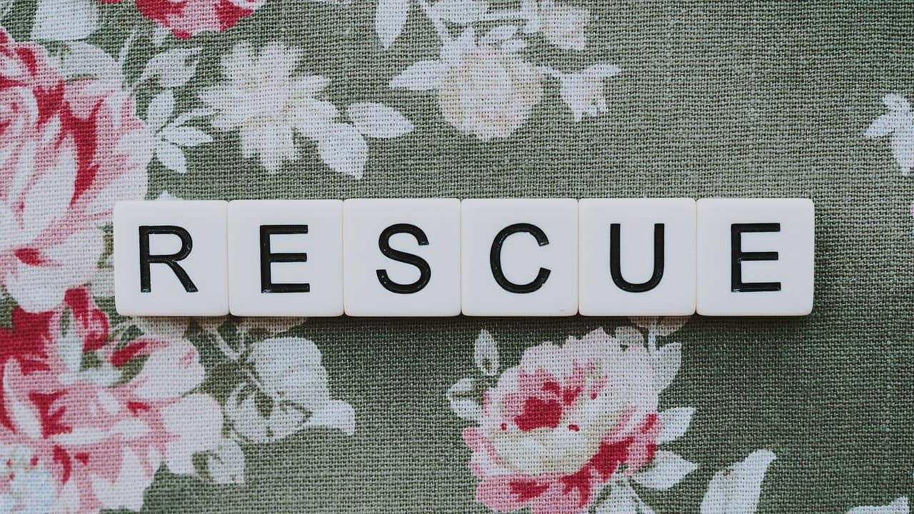 rescue, rescued, saved