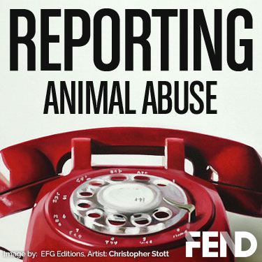 report animal cruelty