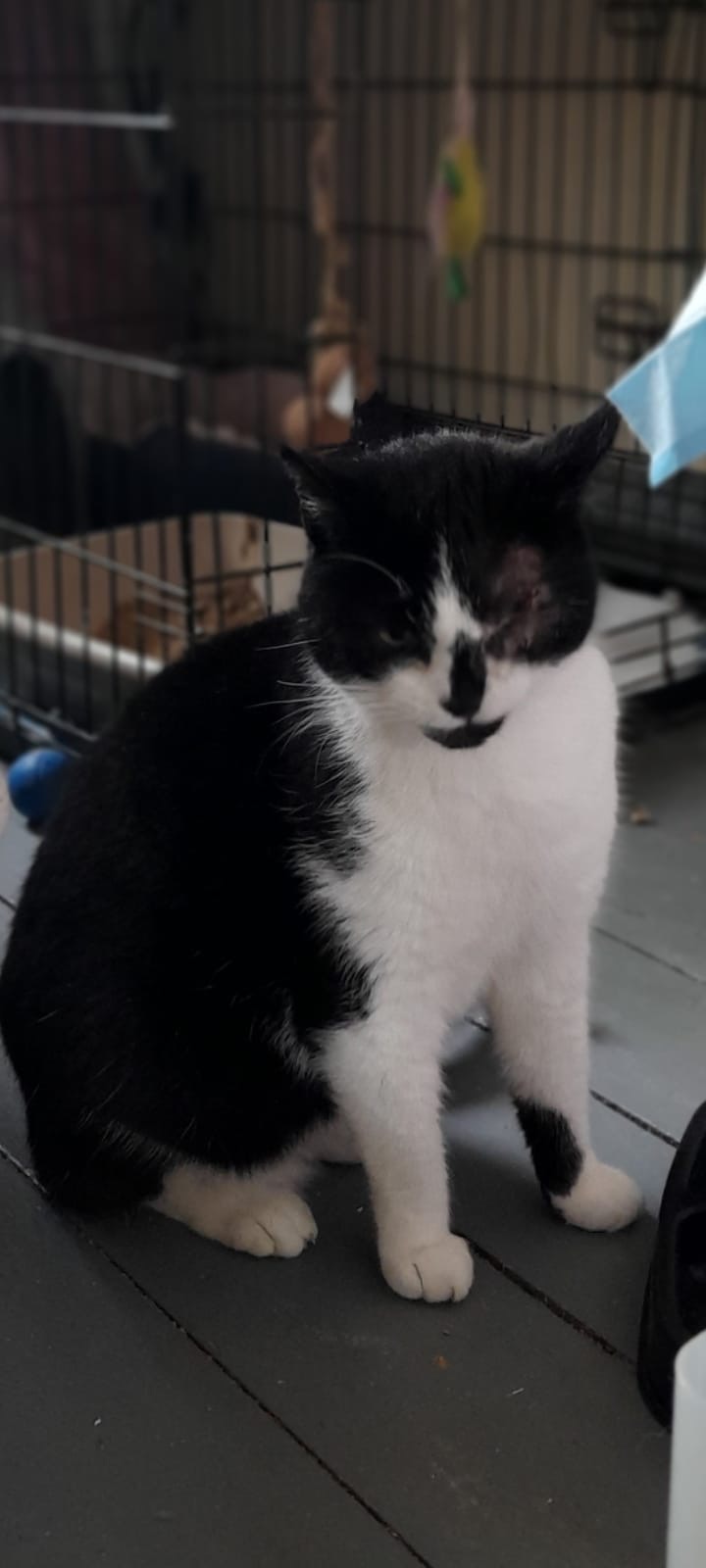 703c6954 386f 4832 abb0 3882a286d145